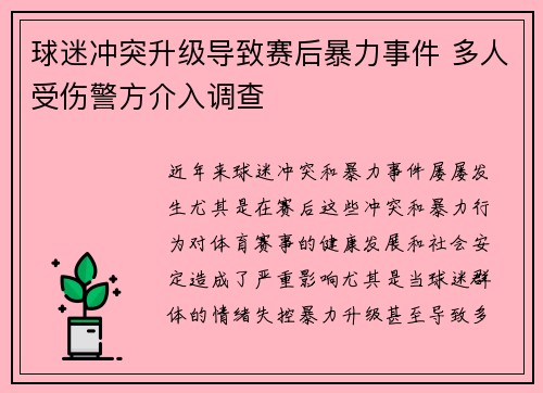 球迷冲突升级导致赛后暴力事件 多人受伤警方介入调查